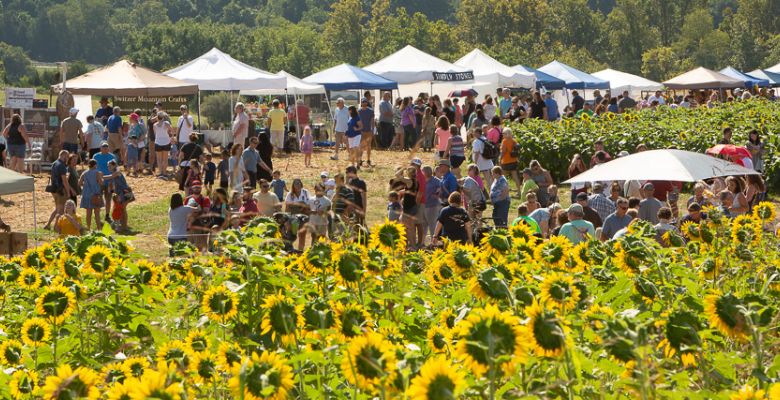Festival vendor tents beside the sunflower field